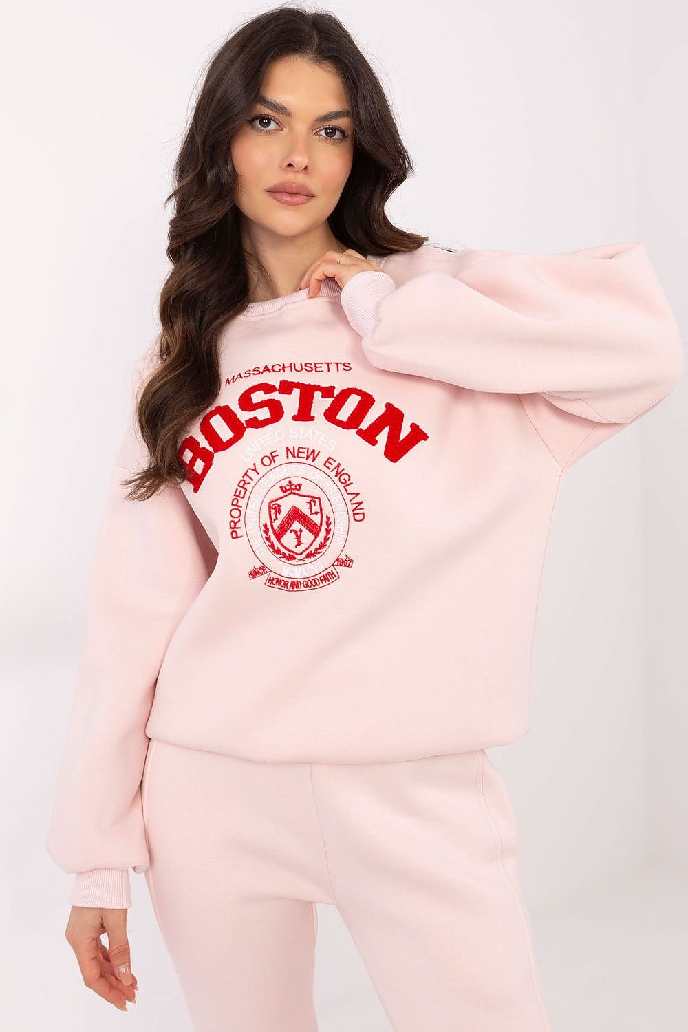 Sweatshirt model 206371 Factory Price