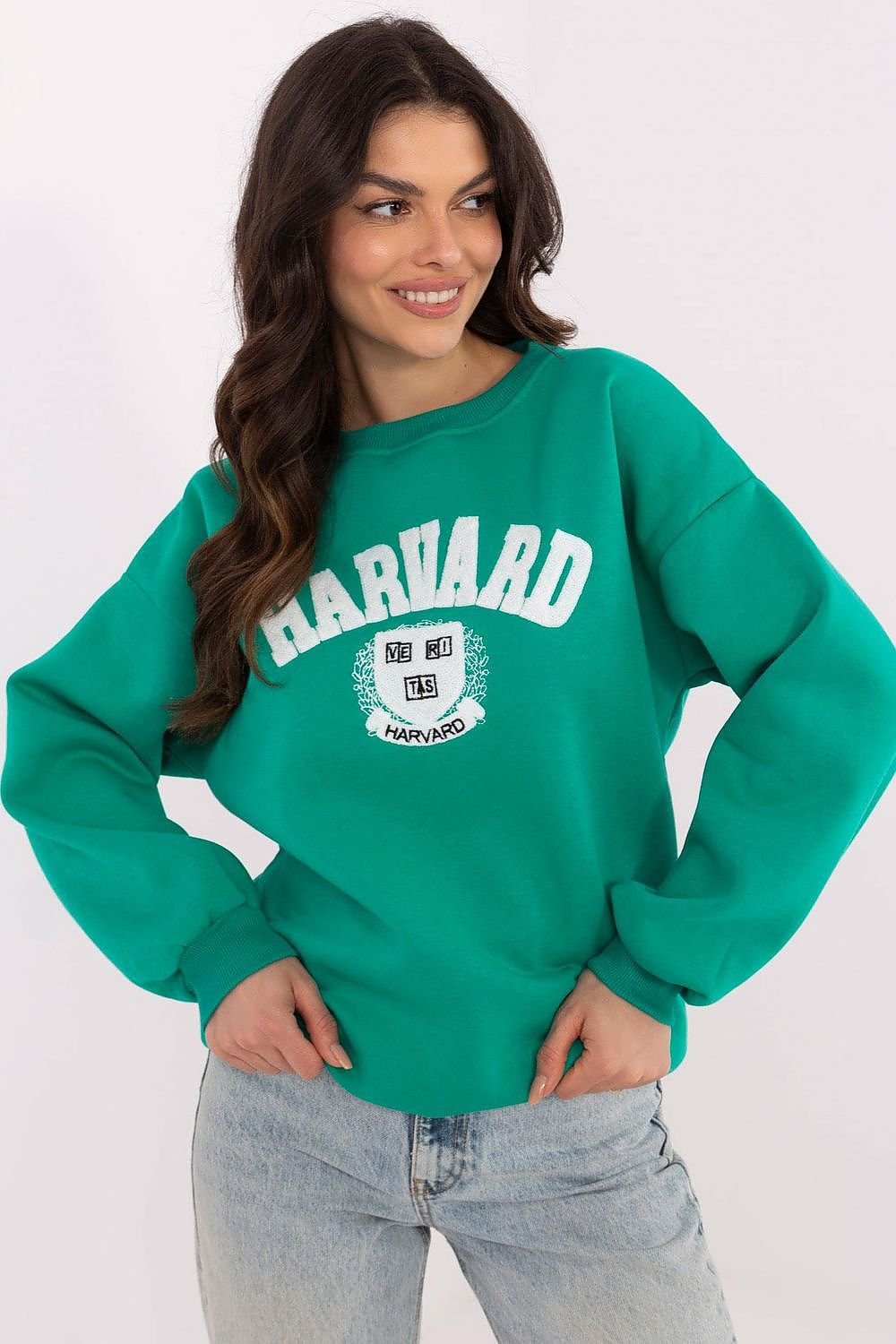 Sweatshirt model 206382 Factory Price