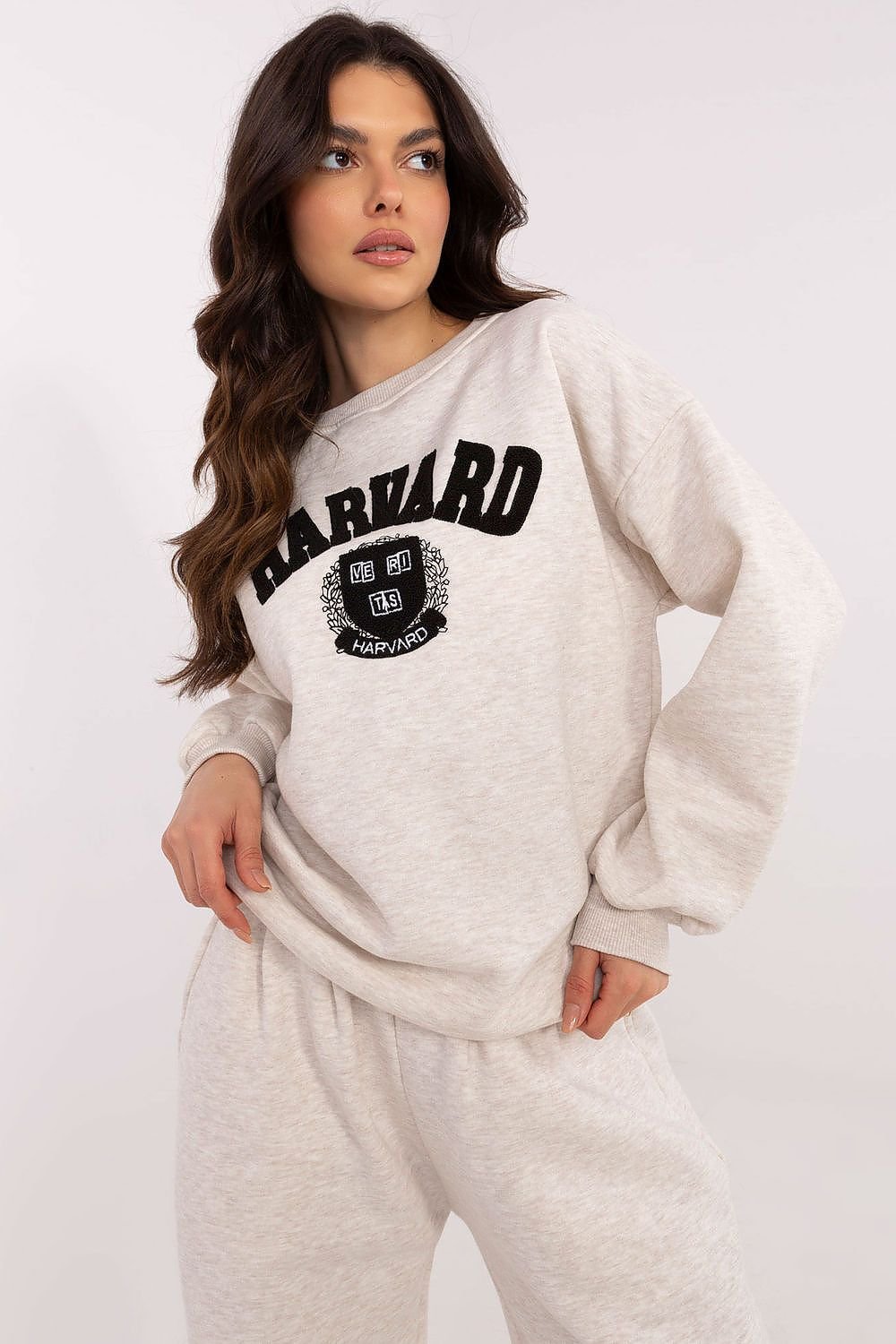 Sweatshirt model 206382 Factory Price